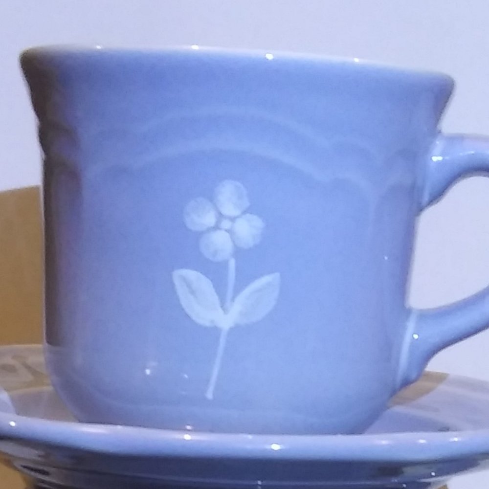 Vintage pfaltzgraff gazebo blue bouquet pattern USA teacup and saucer